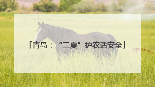 青岛：“三夏”护农话安全